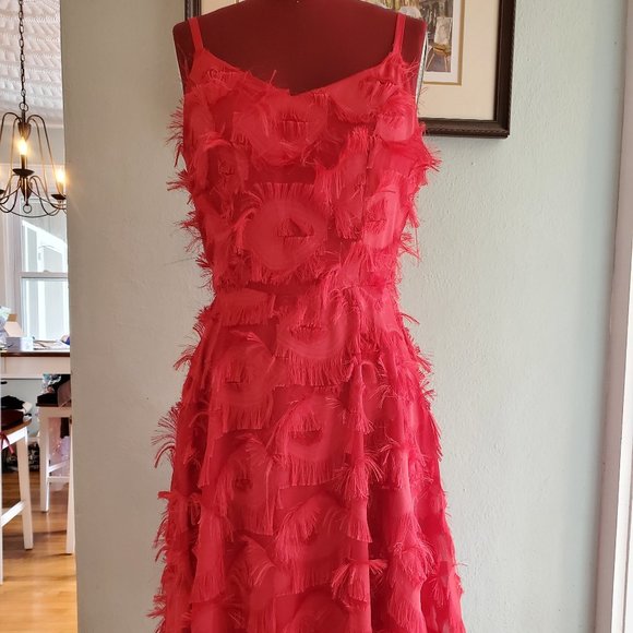 Redwine Dresses & Skirts - Red Eyelash Lace Cocktail dress - sz 6